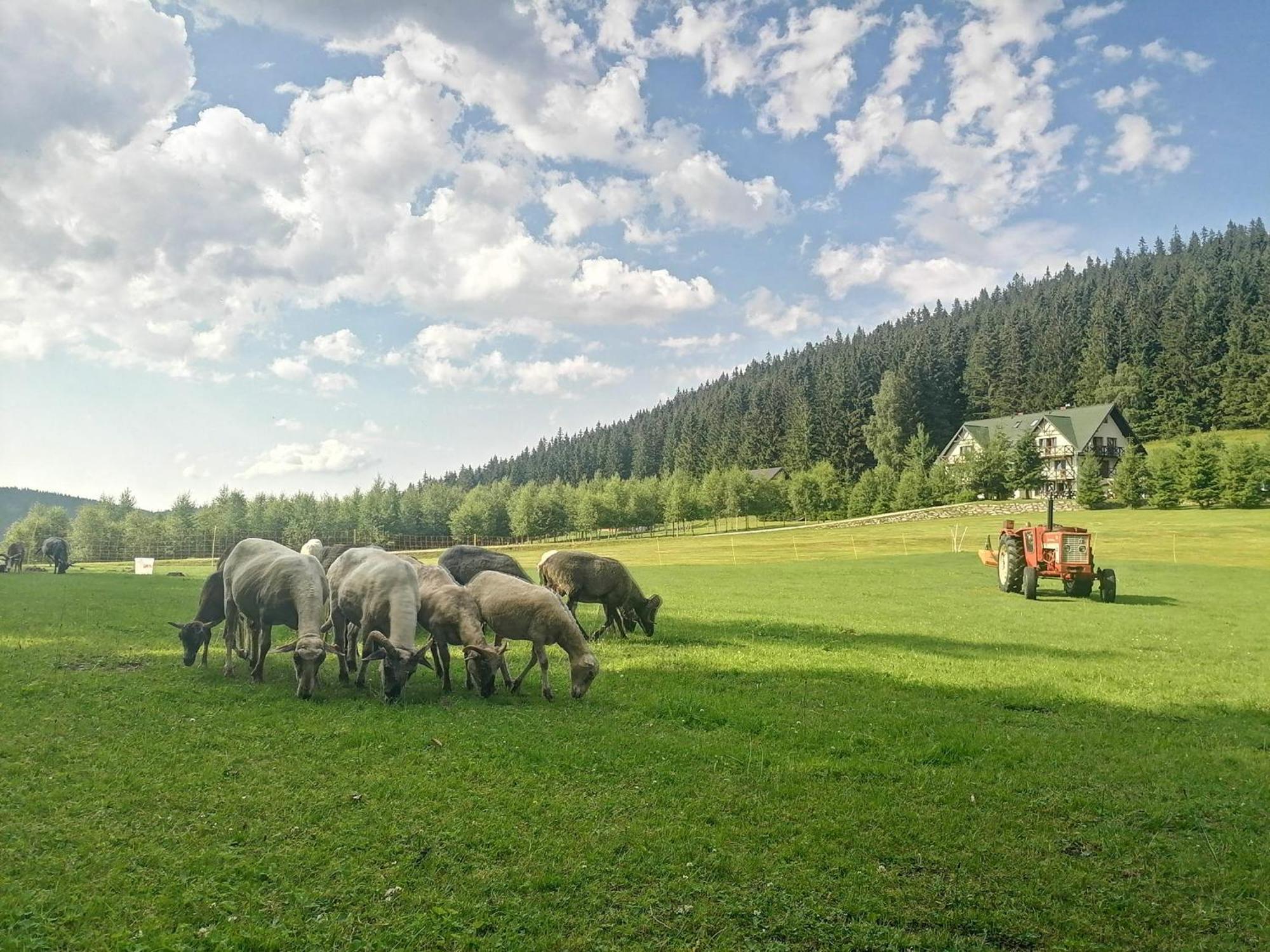 Gościniec Janowa Góra Stronie Śląskie Habitación foto